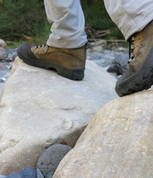 Trekking carnarvon gorge