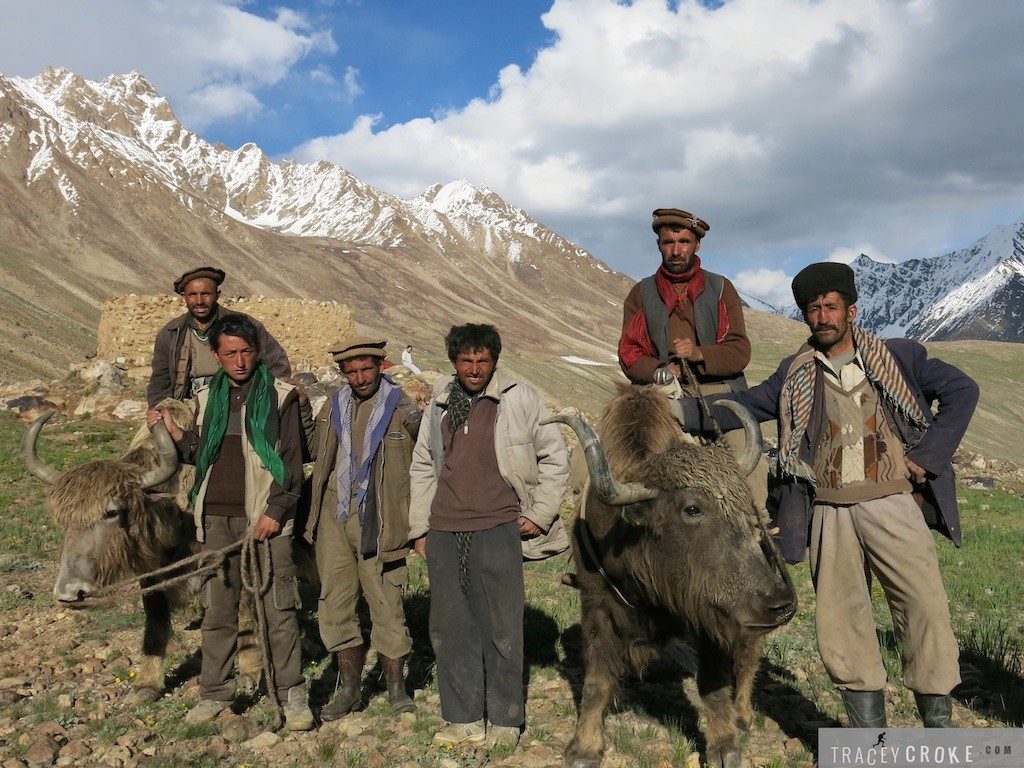 Tribesman-Yaks-1024x768.jpg