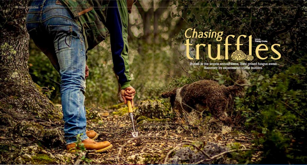 Truffle hunting in Tuscany