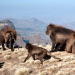 Mountain Bike Expedition Ethiopia