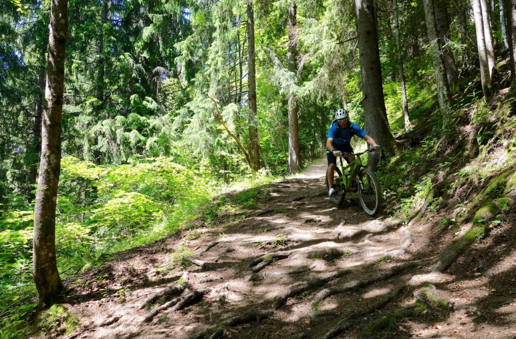 Mountain Biker riding rooty descent in the Alps